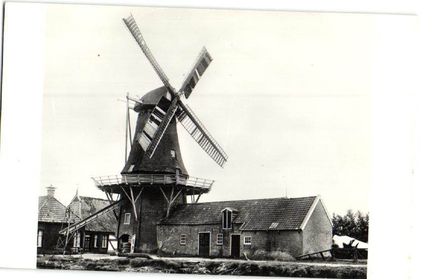 kaart