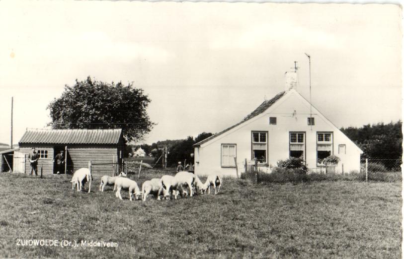 kaart