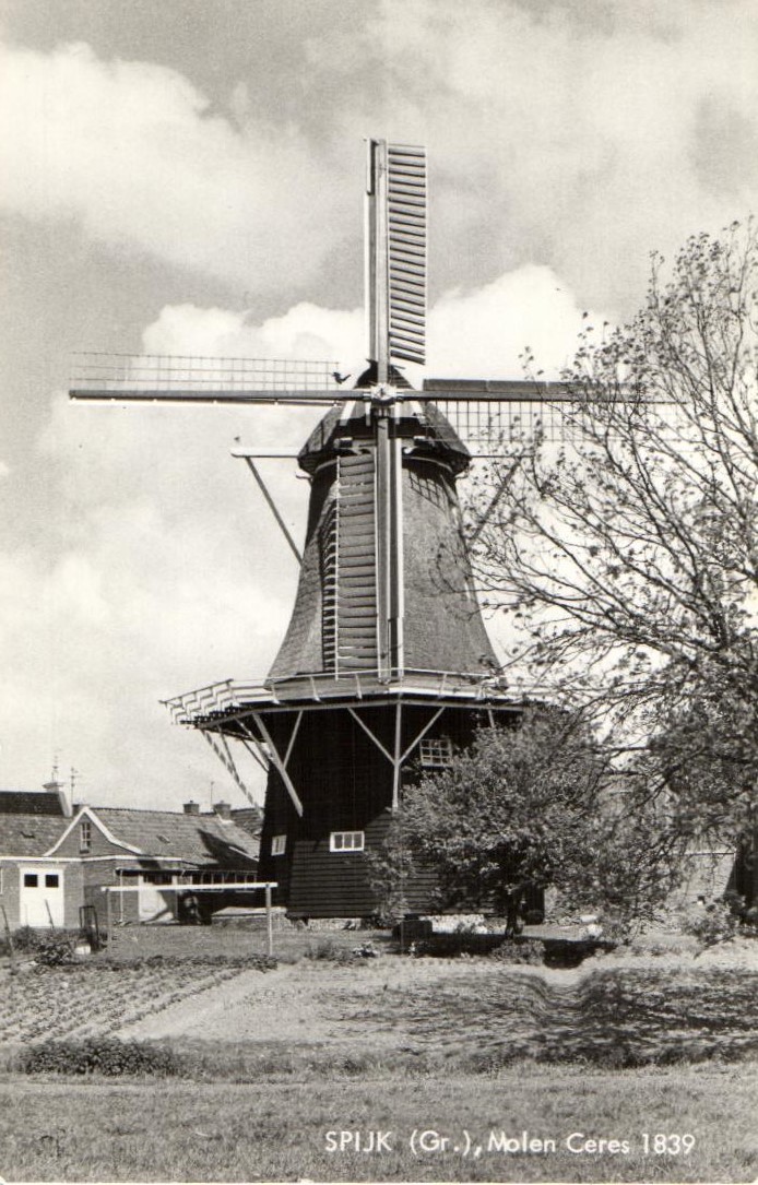 kaart