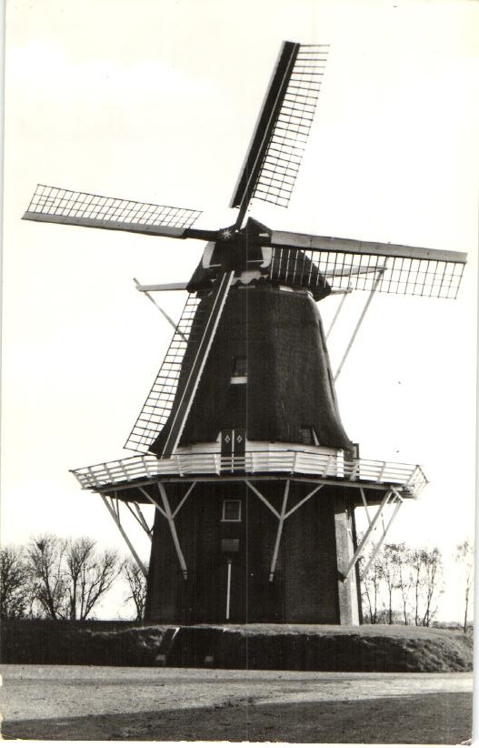 kaart