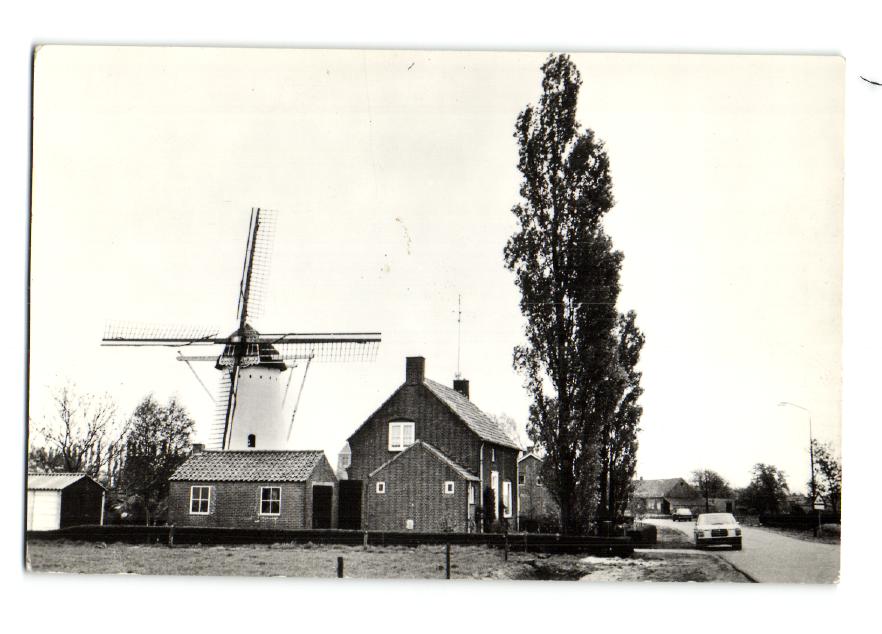 kaart