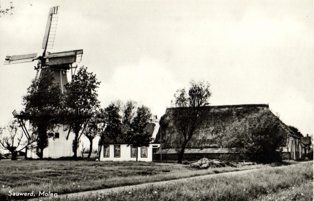 kaart