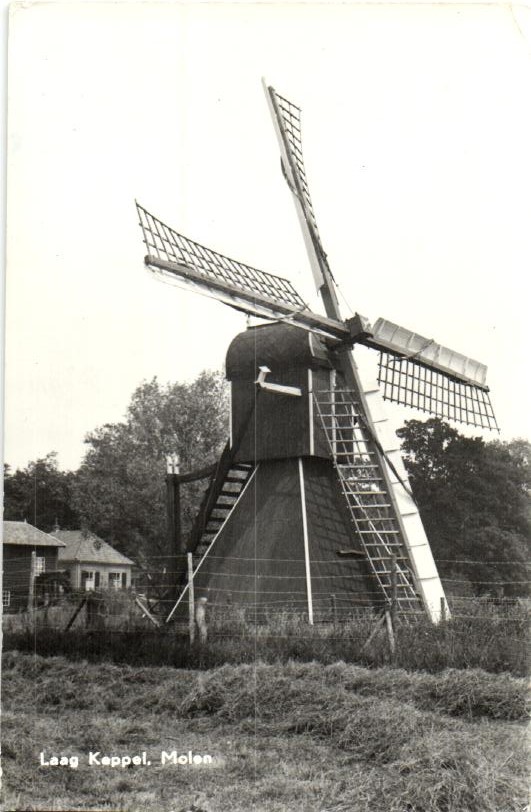 kaart