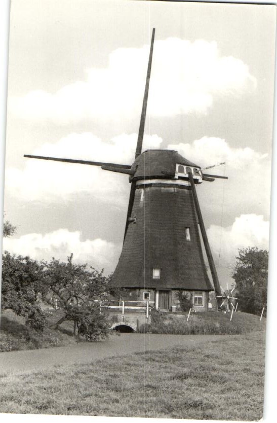 kaart