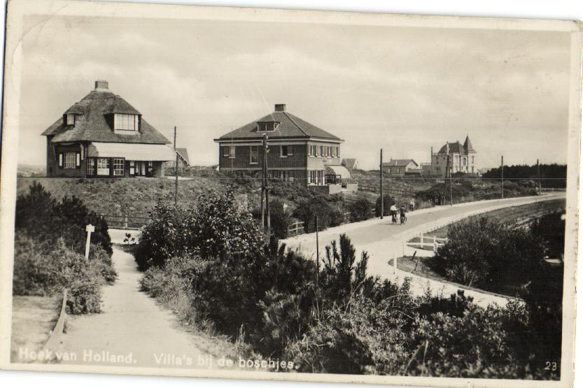 kaart
