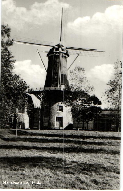 kaart