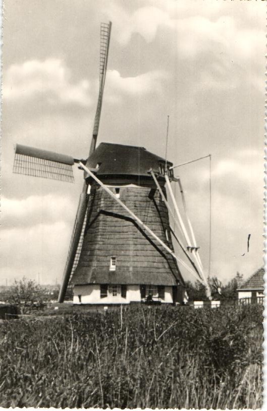 kaart