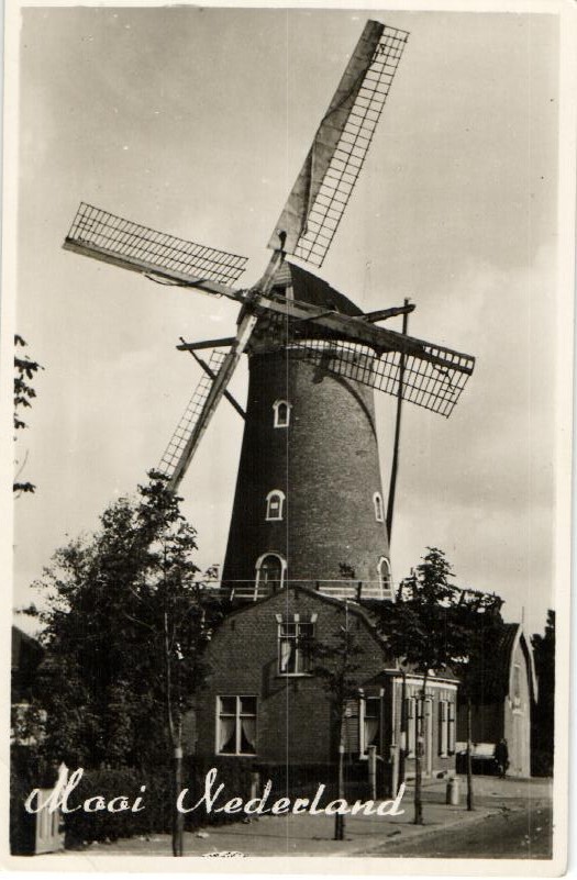 kaart
