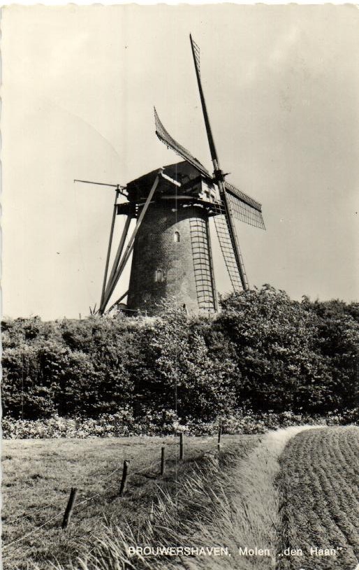 kaart