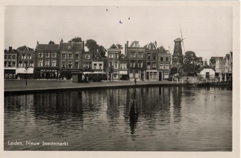 kaart