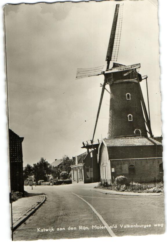 kaart
