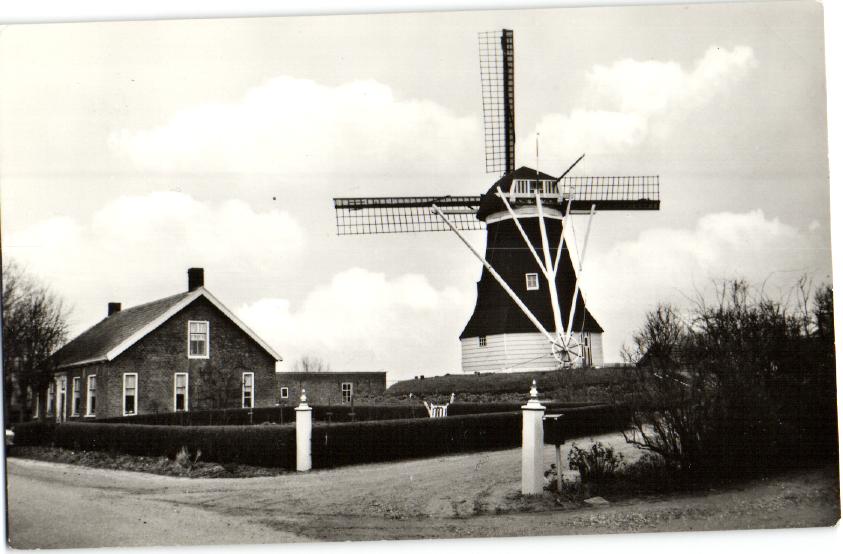 kaart