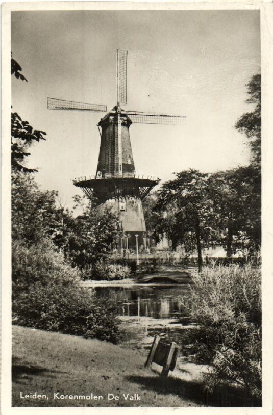 kaart