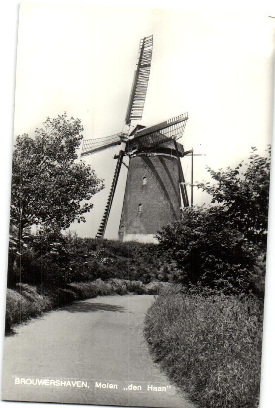 kaart