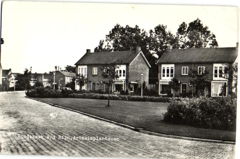 kaart