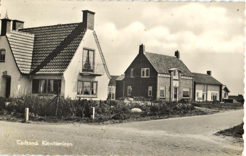 kaart