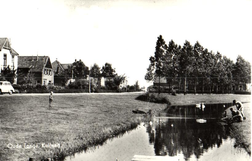 kaart