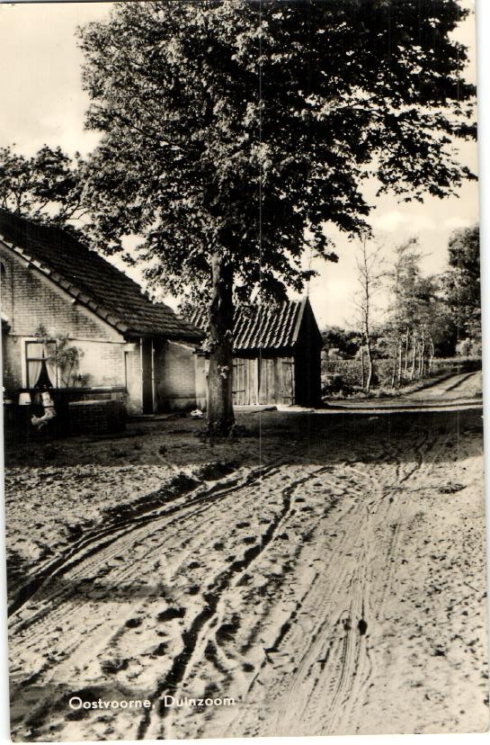 kaart