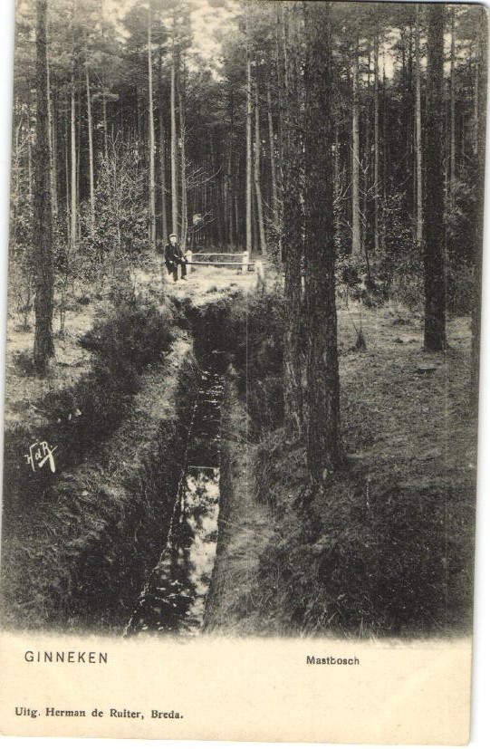 kaart