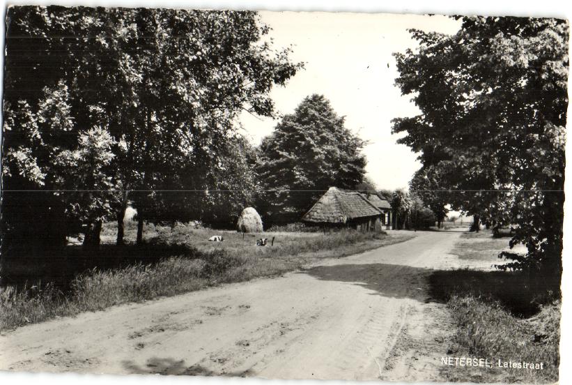 kaart