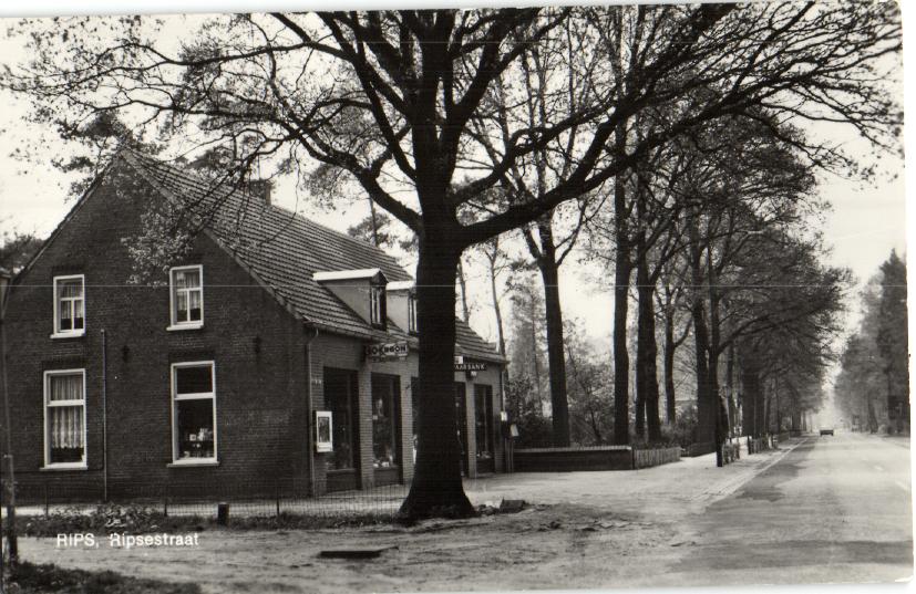 kaart