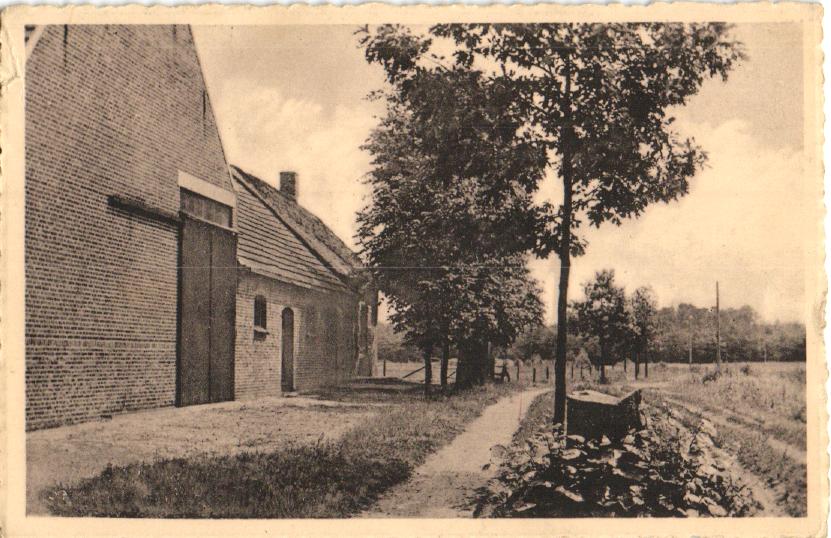 kaart