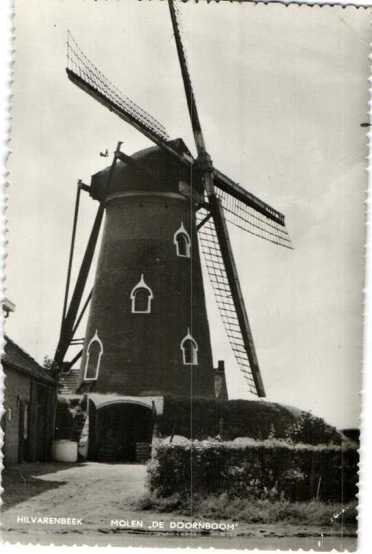 kaart