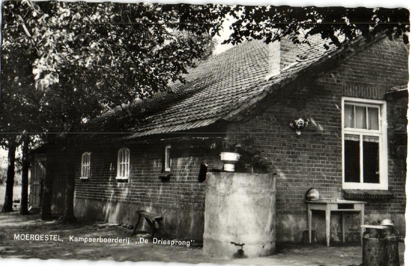 kaart