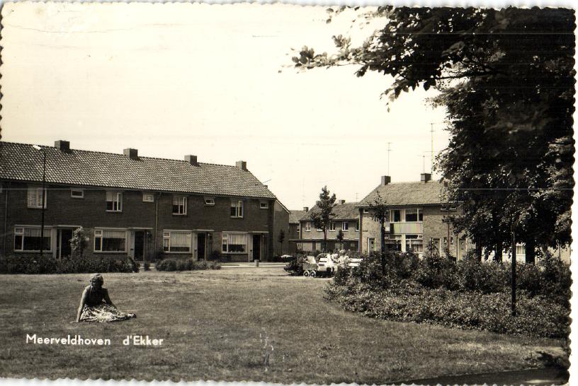 kaart