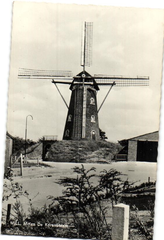 kaart