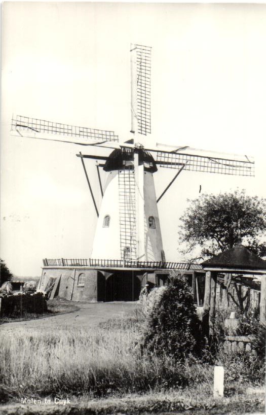 kaart
