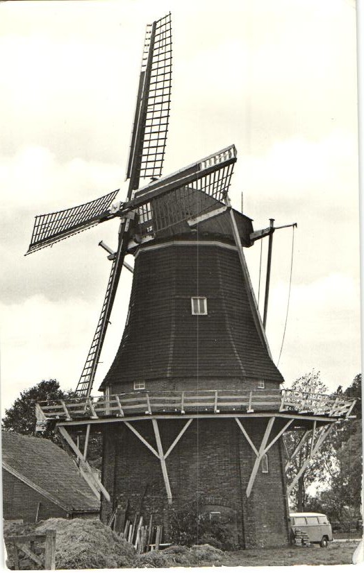 kaart