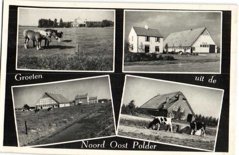 kaart
