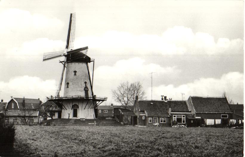 kaart