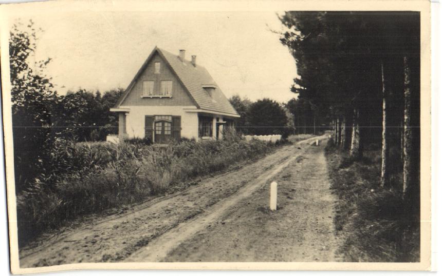 kaart