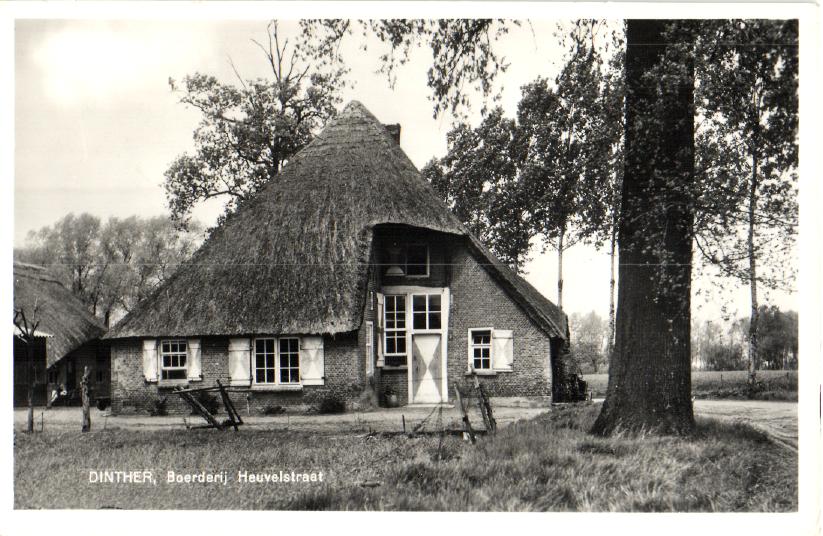 kaart