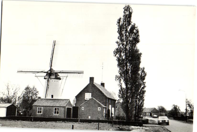 kaart