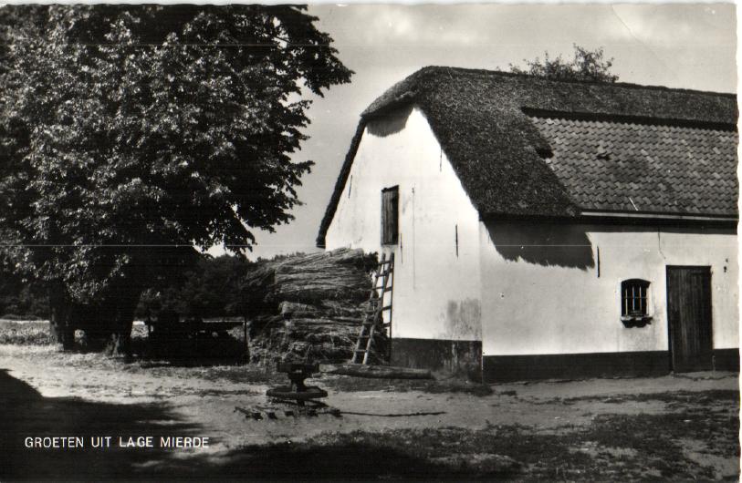 kaart