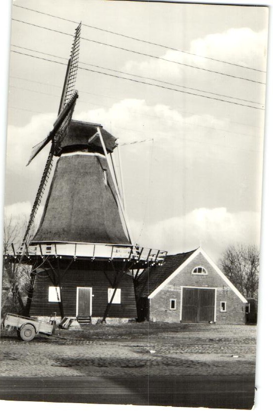 kaart