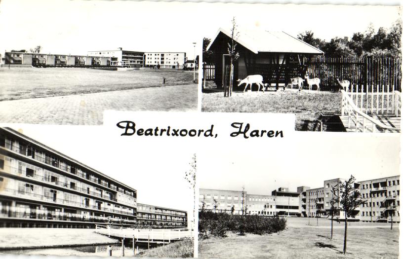kaart