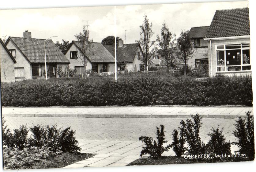 kaart