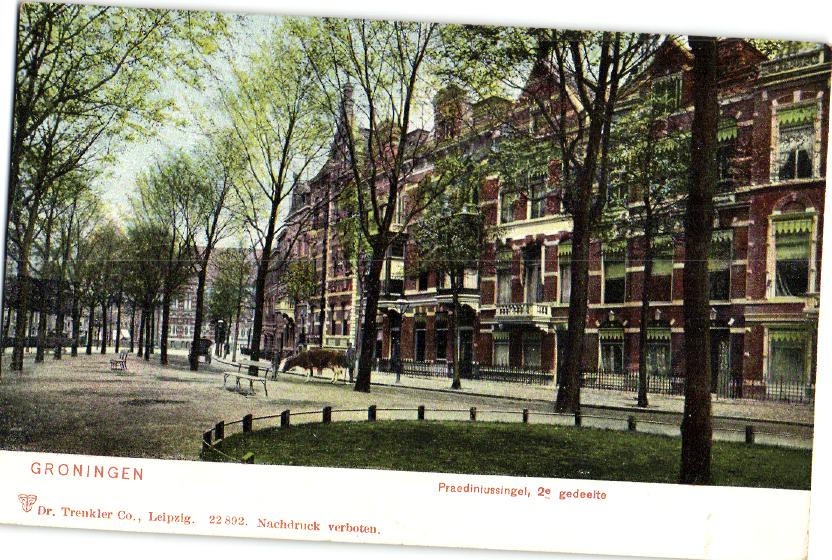 kaart
