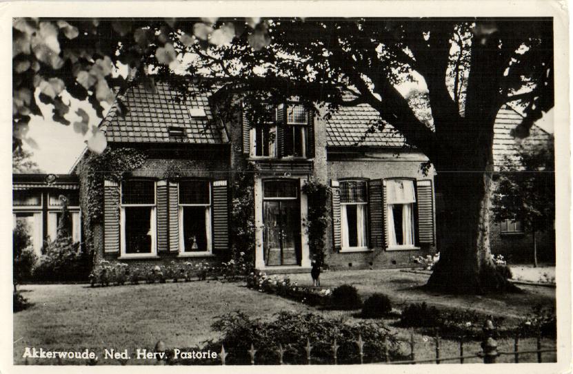 kaart
