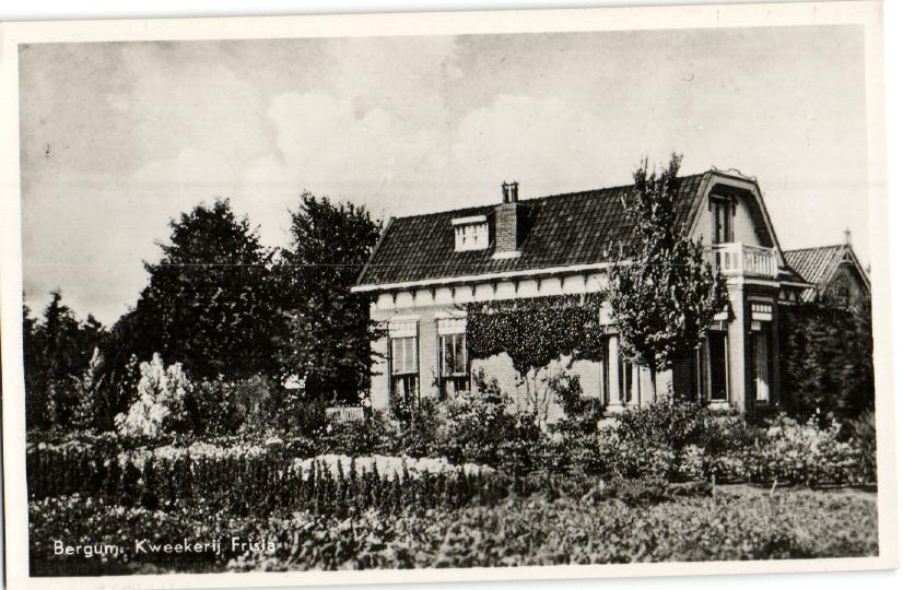 kaart