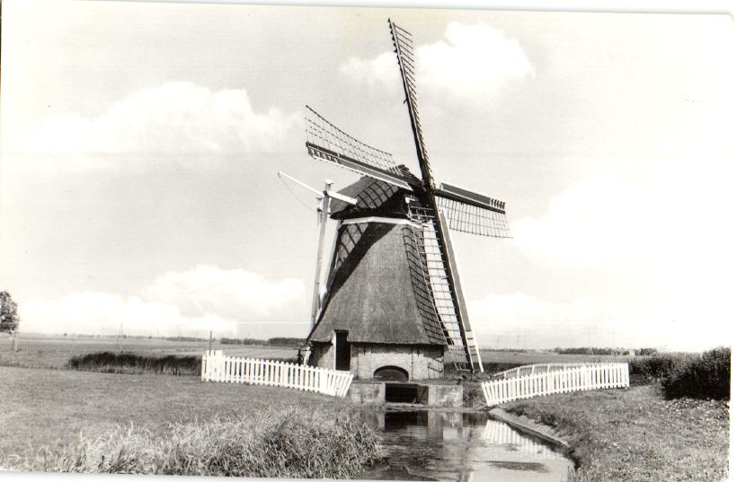 kaart