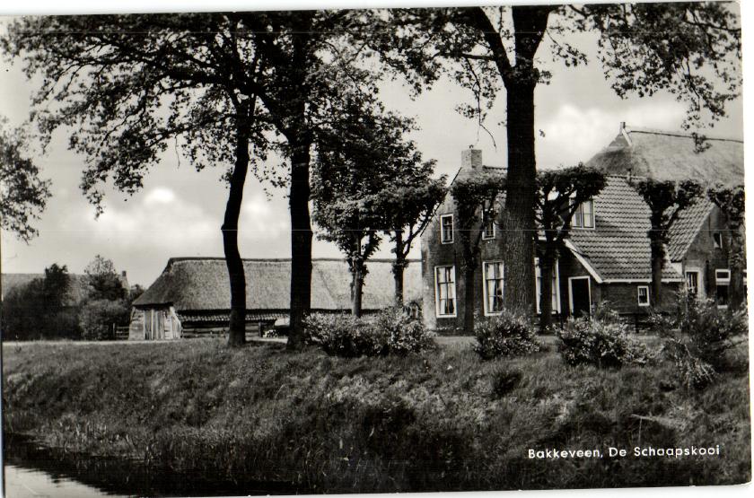 kaart
