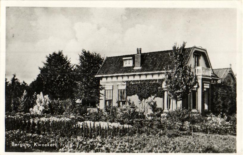 kaart