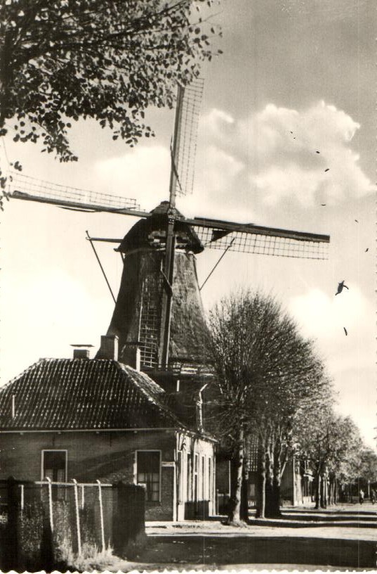 kaart