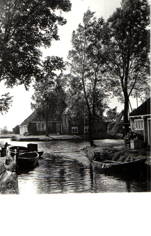 kaart