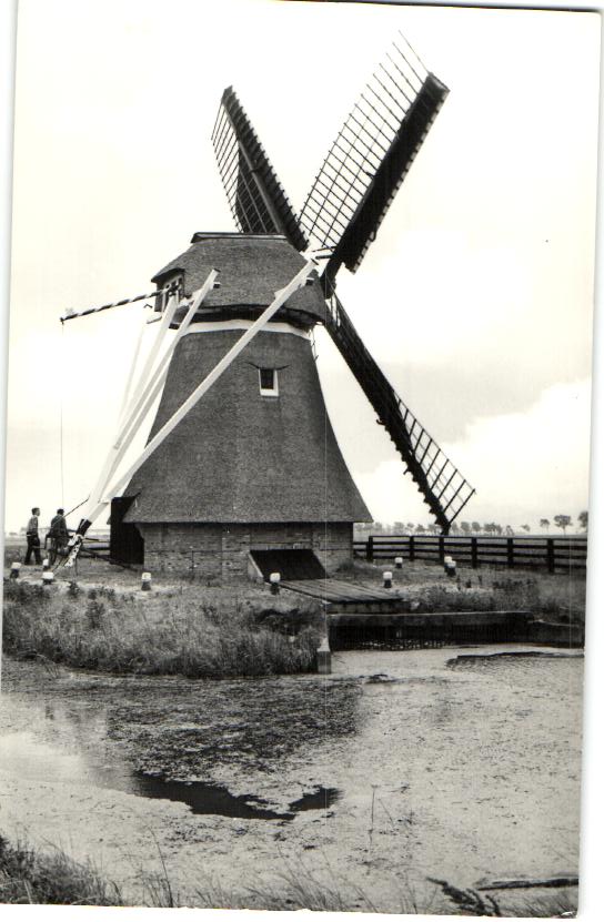 kaart
